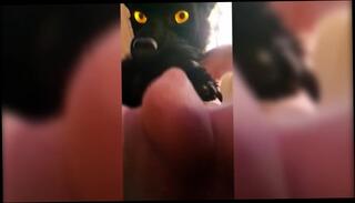 Video 1576094063: uncut cum close solo, uncut twink cum, uncut gay twink, gay twink feet, twink solo cumshot, pov solo cumshot, solo amateur twink, furry twink, uncut solo male, black twink solo, twink handjob cum, furry fap, amateur european twink, teasing horny