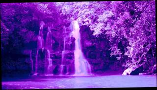 Video 1575027743: solo vibe, amateur solo female, amateur glory