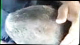 Video 1537128101: gay blowjob cum swallow, amateur blowjob cum swallow, car blowjob cum swallow, public blowjob cum swallow, sucking cum swallow, gay couple sucking, guy sucks swallows, sucks young dude, gay guys cum eating, sucking older gay