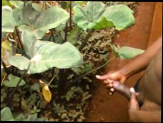 Video 1621098283: milf caught teen, amateur milf creampie, amateur milf solo, solo bisexual male, bukkake creampie, teen boys caught, solo boy wanking, milf wanking dick, big dick teen solo, busted caught, solo men wanking, college teen caught, amateur brazilian milf, amateur creampie outdoor, amateur milf public, muscular bisexual, cosplay creampie, busted masturbating, masturbating outside