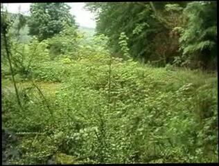 Video 49836501: friends daughter, little girl, man gay