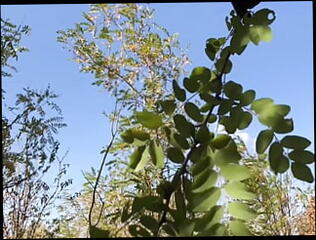 Video 1603416711: compilation strapon femdom pegging, crossdresser sissy fucks dildo, strapon femdom pegging anal, crossdresser dildo anal piss, crossdresser sissy slave, mistress pegging sissy, fetish crossdresser sissy, sissy slave dominated, lesbian mistress strapon, crossdresser transvestite sissy anal, shemale tranny sissy dildo, crossdresser anal dildo toy, dildo fucking lesbian girls, sissy tgirl crossdresser, sissy crossdresser ladyboy, spank peg sissy, amateur sissy crossdresser, sissy crossdresser cum, sissy fucks huge dildo, sissy cumshot compilation, beautiful lesbians strapon fuck, fuck strapon hot lesbians, sissy trap crossdresser, sissy crossdresser training, mature crossdressers sissys, pissing compilation outdoors, sissy trans girl, tgirls webcam compilation, anal dildo toy lingerie, striptease dildo fuck, transsexual sissy, piss cum shower, hd hot porn compilation, heels fucks dildo, sissy dancing, lady