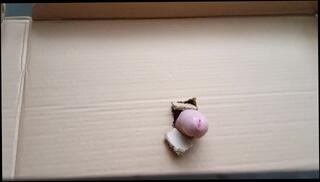 Video 1625947703: gloryhole fetish, fetish solo, horny homemade solo, horny amateur fetish, amateur solo cock, big gloryhole cock, big dick gloryholes, homemade solo male, penis fetish, fetish nude, fetish naked, solo flash, hole fetish, homemade glory hole, funny penis