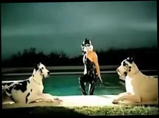 Video 18807701: lady gaga, lady bj, blowjob lady, straight bj, lady celebrating