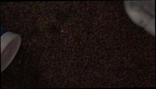 Video 920811201: masturbation handjob cumshot, amateur handjob cumshot, gay masturbation cumshot, gay black cumshots, hd handjob cumshot, bottle cumshot, cuming