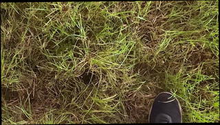 Video 1571647041: pee pissing outdoor, piss gay cock, gay male peeing, amateur pee, german amateur piss, gay man pissing, pissing public gay, pee handjob, nature pee, pee hd