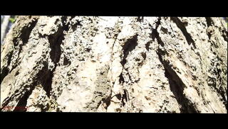 Video 1625932985: latex foot fetish, foot fetish dildo, amateur homemade foot fetish, sissy ass twerking, foot fetish tease, shemale foot fetish, foot fetish licking, fishnet foot fetish, perfect foot fetish, foot fetish white, foot fetish red, foot fetish beauty, outdoor foot fetish, public foot fetish, twerk strip tease, slap spanking ass, twerk shake ass, twerks ass dances, transsexual sissy, shemale dildo lingerie, skirt twerk, sissy park, sissy street, sissy nurse, skin dildo