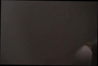 Video 23637901: shemale riding bbc, bbc porn