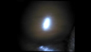 Video 622778645: homemade backshots, amateur backshots, ebony amateur homemade, takes dick