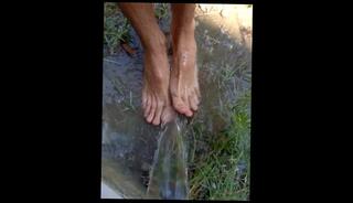 Video 1585372183: feet slave foot worship, solo foot worship, worshiping straight guy feet, gay male foot worship, amateur foot worship, socks feet foot, bare feet foot, friend feet worship, foot worshiped european, public foot worship, shower foot, wet feet