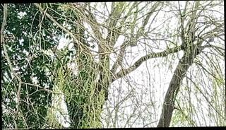 Video 1630026191: emo gay porn, gay porn european, outdoor gay porn, gay porn hd