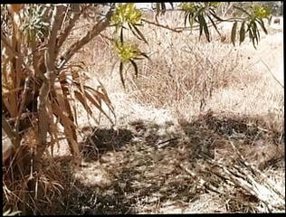 Video 1591972401: milf pissing pee, amateur milf pisses, pee pissing outdoor, milf pierced nipple, tit pierced milf, milf big clit pussy, natural tits amateur milf, milf big ass tits, pierced tattooed milf, thick thighs milf, thick ass latin milf, big pussy lips milf, pee straight, mexican milf tits, milf big tits hd, exhibitionist milf, milf latinas, pierced clitoris