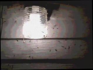 Video 35008001: big boobs tits, tits straight, big titted gothic, big boobs emo