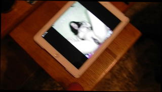 Video 1570608031: girl sperms, sperm shooting, girl jacking, man gay, gay hd