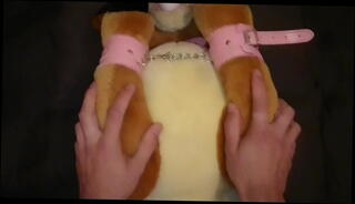 Video 1158646185: gay furry porn, gay furry anal, gay furry sex, bondage anal toys, amateur bondage porn, bitch