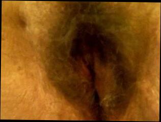 Watch the video about Hairy piggy