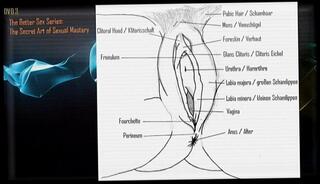 Video 42054935: cunnilingus oral, cunnilingus orgasm, female cunnilingus, clitorial orgasm, sexual women, sexual secrets, sexual pleasure