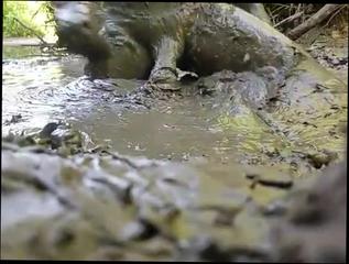 Video 1082920904: twink gay hunks, gay twink masturbation, twink amateur masturbating, gay twink outdoor, nude play, nude man