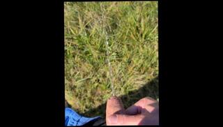 Video 1586264963: pissing lesbian sex, solo piss masturbation, amateur lesbian piss, caught pissing, piss cuckold, solo male piss, solo masturbation anal sex, piss facial cum, solo male masturbation cumshot, solo handjob cum, lesbian sex big tits, lesbian big tits ass, solo masturbation blowjob, piss deep throat, amateur public piss, woman pissing, small cock pissing, italian pissing, caught touching