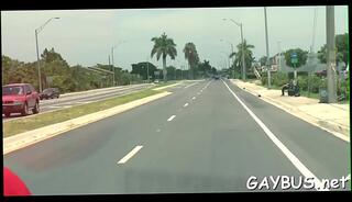 Video 504680955: bear homo sex, gay