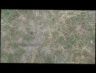 Video 1618239151: amateur creampie cumshot compilation, anal creampie compilation, ass creampie compilation, gay creampie compilation, creampie compilation big, masturbation cumshot compilation, anal porn compilation, ejaculation compilation, sex ejaculation, quick ejaculation, public ejaculation, romanian masturbate, natural sex