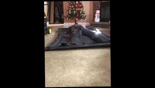 Video 1460770003: vacuum bondage, solo bondage, amateur solo male, amateur mature solo, vacuum bed