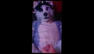 Video 181321201: latex doggy, shemale doggy