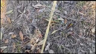 Video 1591819283: pissing peeing fetish, solo pee fetish, solo piss masturbation, teen piss solo, solo male piss, piss compilation, pee fetish hot, teen boy solo masturbation, amateur teen solo masturbation, college boys pissing, best amateur fetish, mature solo masturbation, 60fps teen