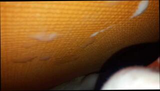 Video 365249301: bdsm orgasm, bdsm licking, bdsm handjob, bdsm cum, cock bdsm, bdsm masturbation, gay bdsm, handjob ruined orgasm, orgasm cum load, small cock handjob, self ruined orgasm