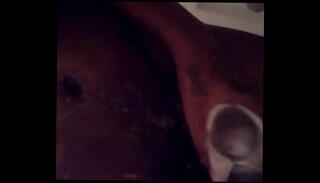 Video 1130745875: big tits shemale slut, big cock shemale webcam, shemale slut masturbating