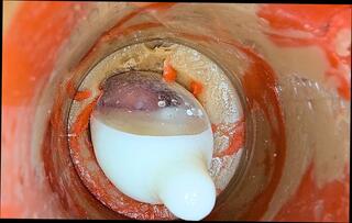 Video 1654951751: twink solo cumshot compilation, twink bareback piss, twink bareback uncut, uncut cock cumshot compilation, gay uncut boys pissing, solo uncut cock masturbating, dick twink solo cum, bareback twink gay sex, uncut cum close solo, big uncut twink cock, condom cumshot compilation, twink ass hole barebacked, twink swallow compilation, twink daddy bareback, solo twink wanking, twink handjob compilation, pissing amateur compilation, twink blowjob compilation, solo toying compilation, bear twink bareback, muscle twinks bareback, uncut cock big balls, solo man masturbation cumshot, condom ejaculate, condom pussy, cum compilation hd, penetration pissing, inside condom, condom deep, condom huge, camera inside deep pussy