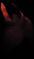 Watch the video about Thick Pawg