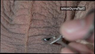 Video 1488904603: small dick solo, solo ball, dick solo male, penis solo, amateur solo male, shaved solo, extreme solo, solo close, haired solo, smooth balls, small dick guy, trimmed dick