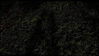 Video 1591196935: gay femboys fucked, femboy sex, femboy public, vr sex