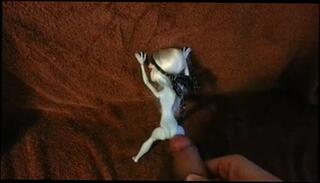 Video 95894901: lil' ass, doll ass, ass lifted, skin ass, man gay