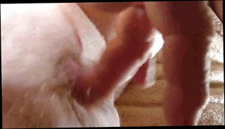 Video 1175044001: closeup fingering, cock closeup, gay fingering, fingering juicy, small fingers, finger play, little penis