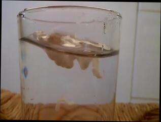 Video 341566101: gay ass cum, gay man cum, thick semen, very cum, cum hd