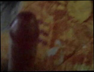 Video 14972001: shemale porn, petite shemale