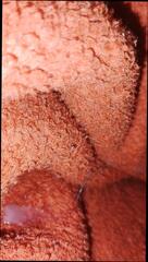 Video 1623493731: twink bareback fucks cum, daddy fucks twink bareback, gay bareback twink boy, twink bareback fucking amateurs, bear fucks twink bareback, grandpa fucked chubby, barebacks young twink gay, twink big cock bareback, dominate gay twinks, twink bareback anal, twinks blowjob bareback, twink old grandpa, japanese twink bareback, barebacks black twink, twinks gays boys masturbations, gay twinks fucking men, twink handjob cum, gay man fucking twink, indian grandpa fucks young, younger fucks older bareback, twink pornstar, fucking bareback hd