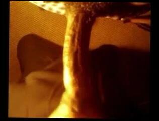 Video 40542501: cock sucker gay, cock suckers porn, gay porn black cock, gay man cock porn