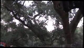 Video 165958501: booty pornstar, booty hardcore, booty straight, monster black booty, booty black ebony, pornstar cunt