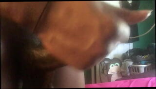 Video 878241425: big black dick bbc, bbc big black cock, nasty bbc, muscular bbc, bbc jacking, good bbc, bbc style, wet bbc, bbc tattoo, throat open