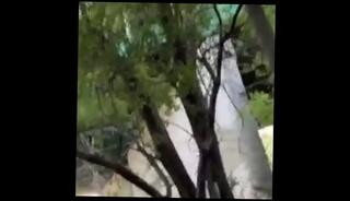 Video 1664617935: amateur naked, exhibitionist naked public outdoor, park naked, naked street, naked car