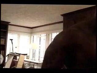 Video 25569101: silvia saint, sylvia saint, lexington steele, mr marcus, pornstar interracial, straight interracial