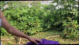 Video 1663664891: brother fucks step sister, brother fucks step sis, brother step sister sex, sister fucks brothers friends, sister step brother desi, indian brother step sister, hot step brother sister, gangbanging step sister, cheerleader step sister, gangbanged asian cheerleader, horny step sister fucked, fucks step sisters boy, fucking wife step sister, fucking step sister cum, girl fucks step brother, college girl step sister, fucking step sister outdoors, old step sister fucked, straight step brother, brother cumshot, sister face fucked, teacher gangbang, 18 years step sister, hottest step sister, hot step sister hd, sister multiple, neighbour brother, sister yoga, india girl friend sexe, tanned girl fucked