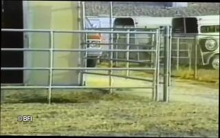 Video 1624076321: michelle bauer, bdsm fetish, bdsm pet, girl bdsm, fetish straight, pervert fetish, fetish pleasure, pet training, usa girl, maid pleasures