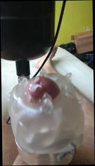 Video 1433480701: cum milking machine, gay milking machine, milking machine masturbation, massage milking, machine sex toys, handjob sex machine, amateur sex machine, milk cumshots, milk hd, polish amateur sex