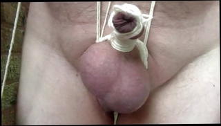 Video 1225367201: gay cock, tied penis, ball tied, balls outside