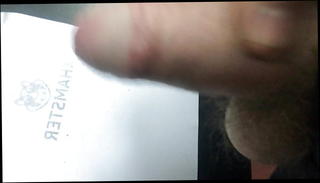 Video 1133381201: twink bareback cum, hunk barebacks twink, twink big cock bareback, bareback twink gay, twink amateur bareback, twink masturbate cum, gay twink small cock, gay twink hd, best masturbation