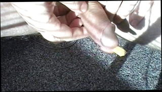 Video 1571179651: slave first time, urethra play, play gay